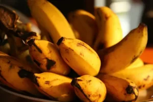 Bananenschalen als Dünger – für welche Pflanzen? Wann sich die Verwendung lohnt und worauf man achten sollte
