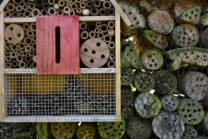 Insektenhotel selber bauen – Anleitung – Materialien, Aufbau und geeigneter Standort für ein selbst gebautes Insektenhotel