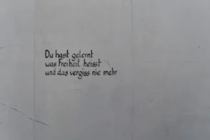 Wann kann man frisch gesäten Rasen mähen? Den richtigen Zeitpunkt für den ersten Schnitt nach der Rasenaussaat erkennen