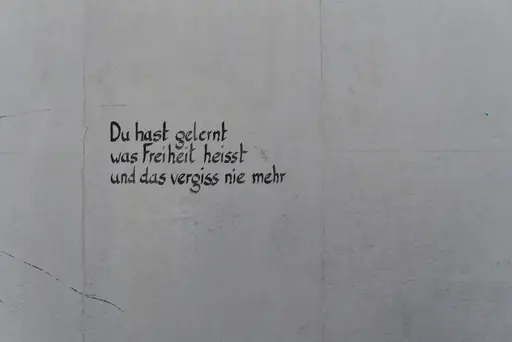 Wann kann man frisch gesäten Rasen mähen? Den richtigen Zeitpunkt für den ersten Schnitt nach der Rasenaussaat erkennen