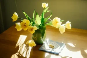 Warum wachsen Tulpen in der Vase weiter? Warum Schnitt-Tulpen nach dem Abschneiden weiterwachsen und wie man sie länger frisch hält