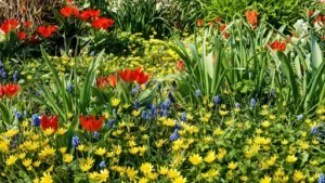 Welche Blumen blühen den ganzen Sommer im Garten? Diese Pflanzen sorgen über viele Wochen für eine farbenfrohe Blüte