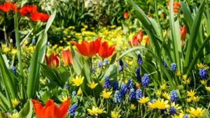 Wie kann man einen Maulwurf vertreiben? Schonende Möglichkeiten, einen Maulwurf aus dem Garten zu vertreiben
