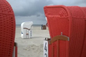 Wie lange darf man Rasen mähen? Zu welchen Uhrzeiten Rasenmähen erlaubt ist und wann Ruhezeiten beachtet werden müssen