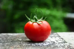Wie oft müssen Tomaten gegossen werden? Tomaten richtig gießen: Häufigkeit, Wassermenge und Tipps für gesunde Pflanzen