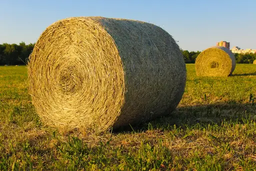 Wie schwer ist ein Rundballen Heu? Typische Gewichte verschiedener Rundballen und wichtige Einflussfaktoren