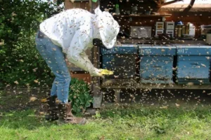 Wie viel Rindenmulch braucht man pro m²? Bedarf berechnen und die passende Schichtdicke für Beete bestimmen