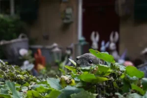 Wie werde ich den Maulwurf los? Schonende Möglichkeiten zum Vertreiben von Maulwürfen aus dem Garten