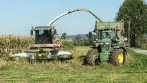 Woraus besteht Silage? Silage erklärt – woraus das Futtermittel besteht und wie es hergestellt und konserviert wird