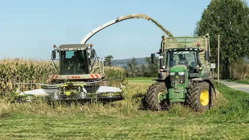 Woraus besteht Silage? Silage erklärt – woraus das Futtermittel besteht und wie es hergestellt und konserviert wird